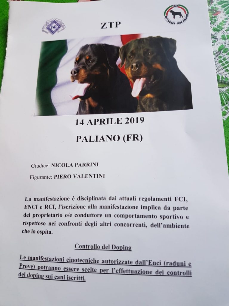WhatsApp-Image-2019-04-14-at-21.20.57-768x1024 Prova di Lavoro - ZTP - Paliano 14 Aprile 2019 Addestramento Expo Francesco Zamperini In Evidenza News Più Lette Prove Lavoro Varie 